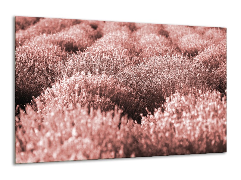 Canvas Schilderij Bloemen | Bruin, Rood | 120x70cm 1Luik