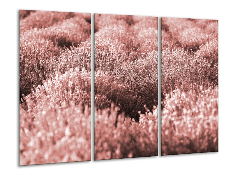 Canvas Schilderij Bloemen | Bruin, Rood | 120x80cm 3Luik