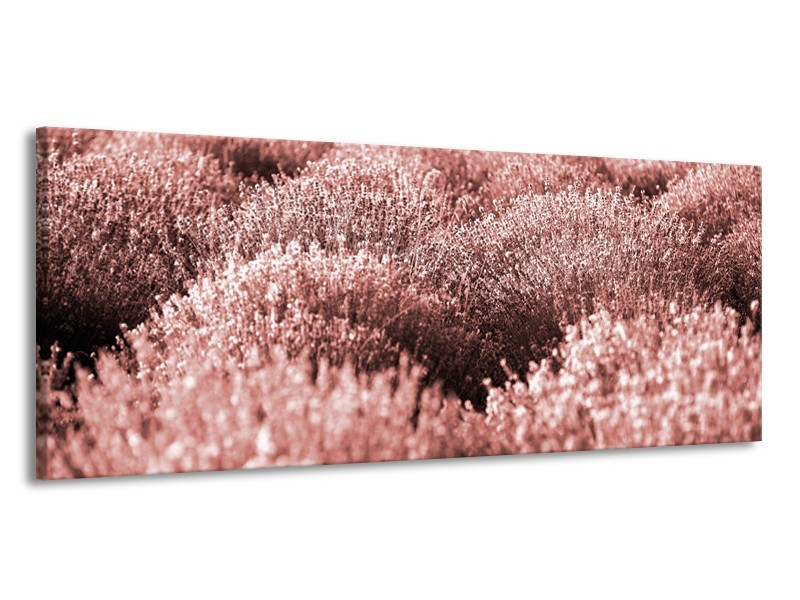 Canvas Schilderij Bloemen | Bruin, Rood | 145x58cm 1Luik