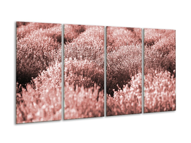 Canvas Schilderij Bloemen | Bruin, Rood | 160x80cm 4Luik