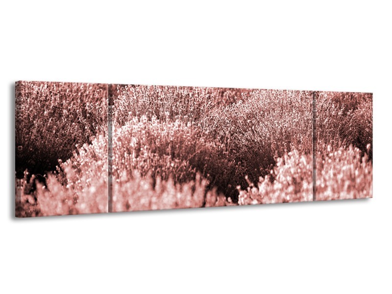 Canvas Schilderij Bloemen | Bruin, Rood | 170x50cm 3Luik