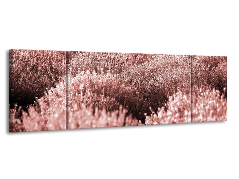 Glasschilderij Bloemen | Bruin, Rood | 170x50cm 3Luik