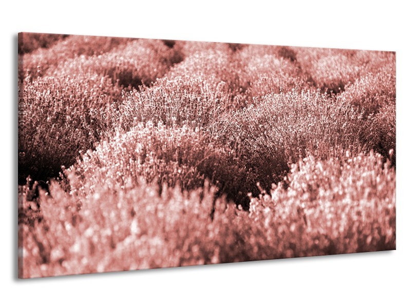 Canvas Schilderij Bloemen | Bruin, Rood | 190x100cm 1Luik