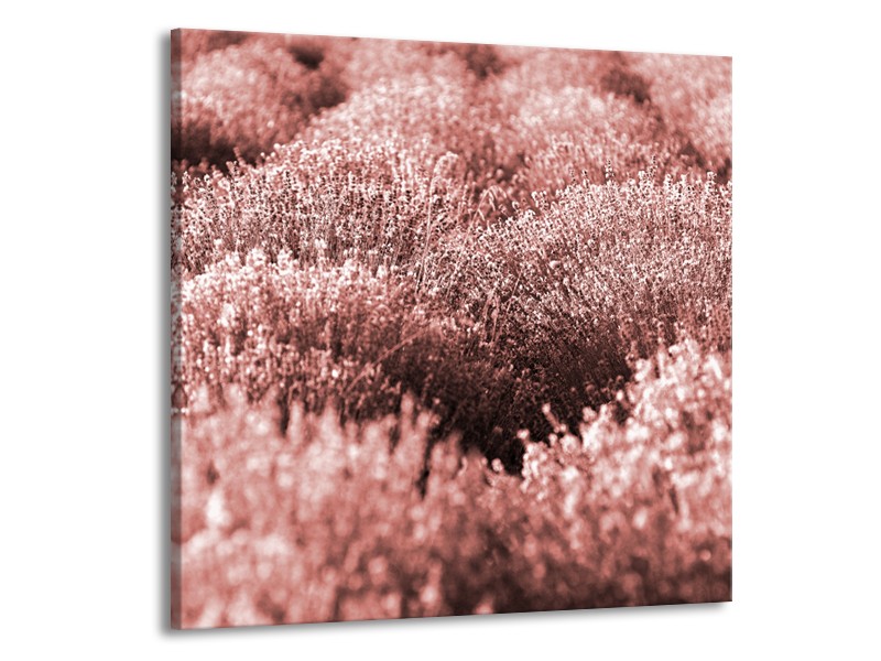 Canvas Schilderij Bloemen | Bruin, Rood | 50x50cm 1Luik