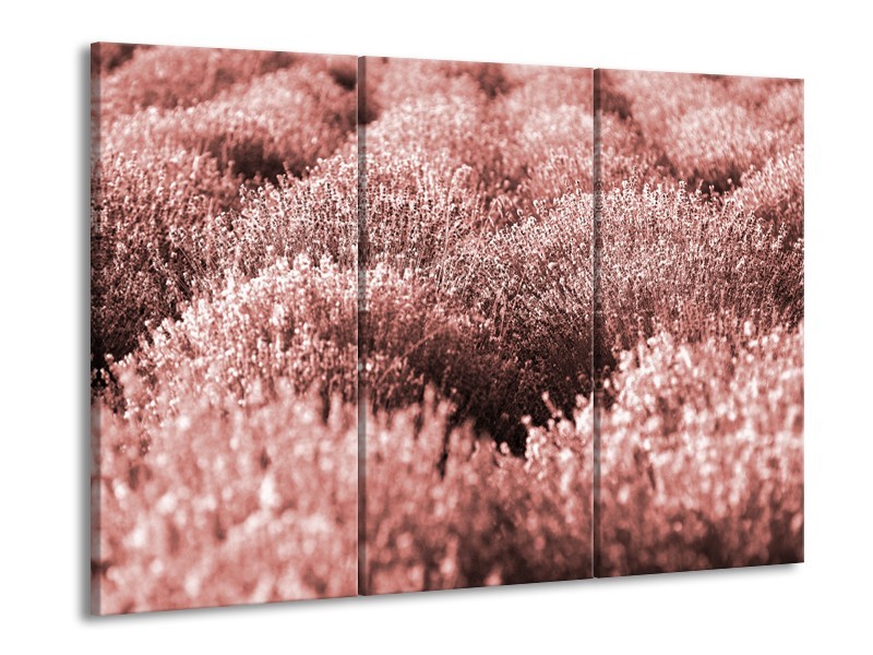 Glasschilderij Bloemen | Bruin, Rood | 60x90cm 3Luik