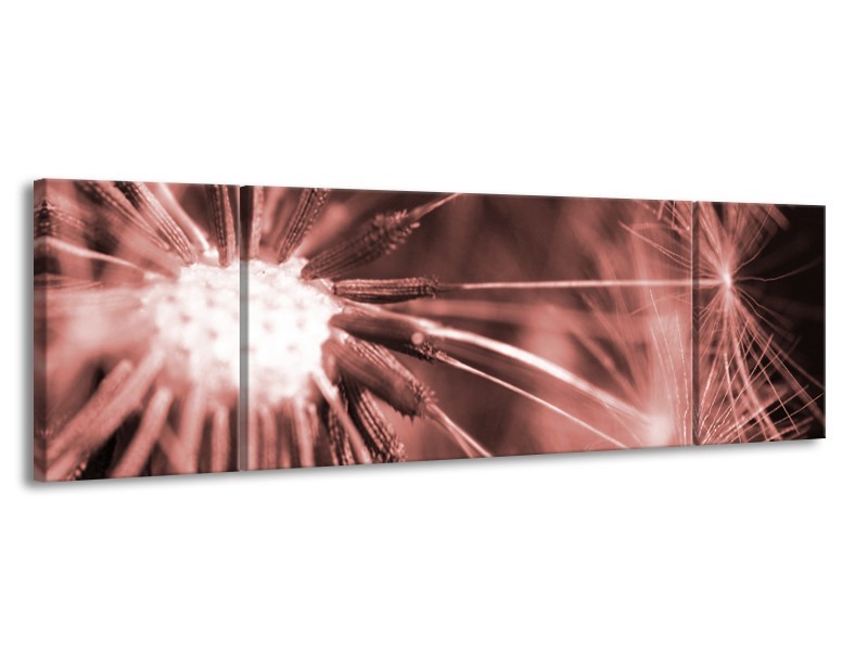 Glasschilderij Bloem | Bruin, Rood | 170x50cm 3Luik