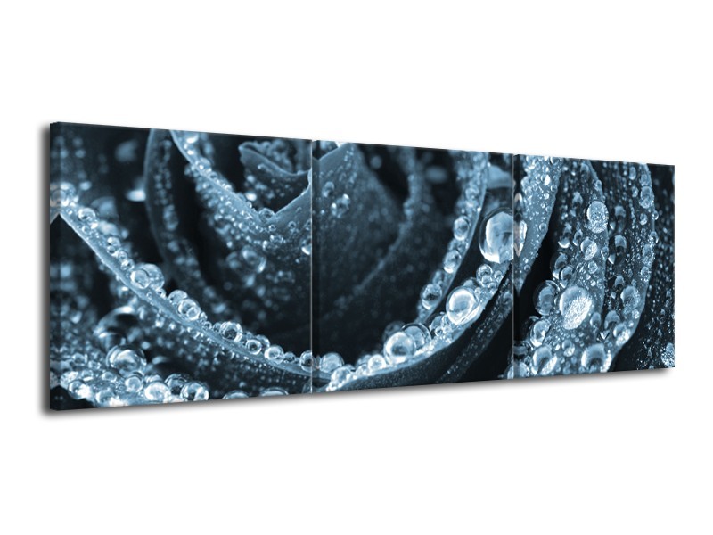 Canvas Schilderij Roos | Blauw | 120x40cm 3Luik