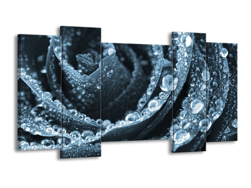 Glasschilderij Roos | Blauw | 120x65cm 5Luik