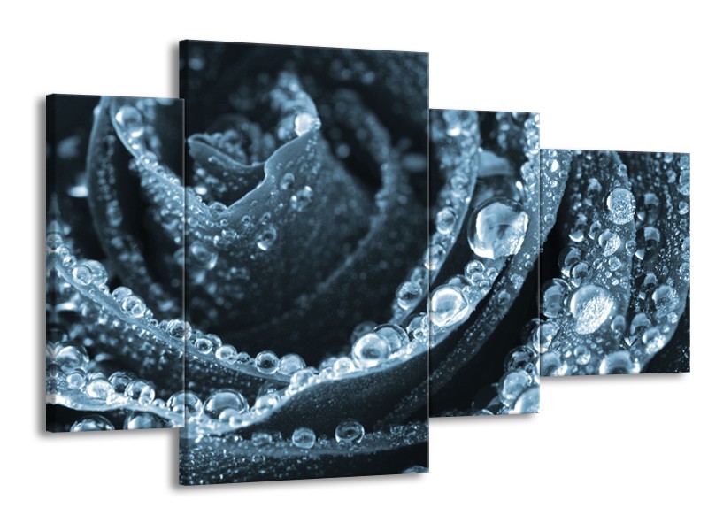 Canvas Schilderij Roos | Blauw | 120x75cm 4Luik
