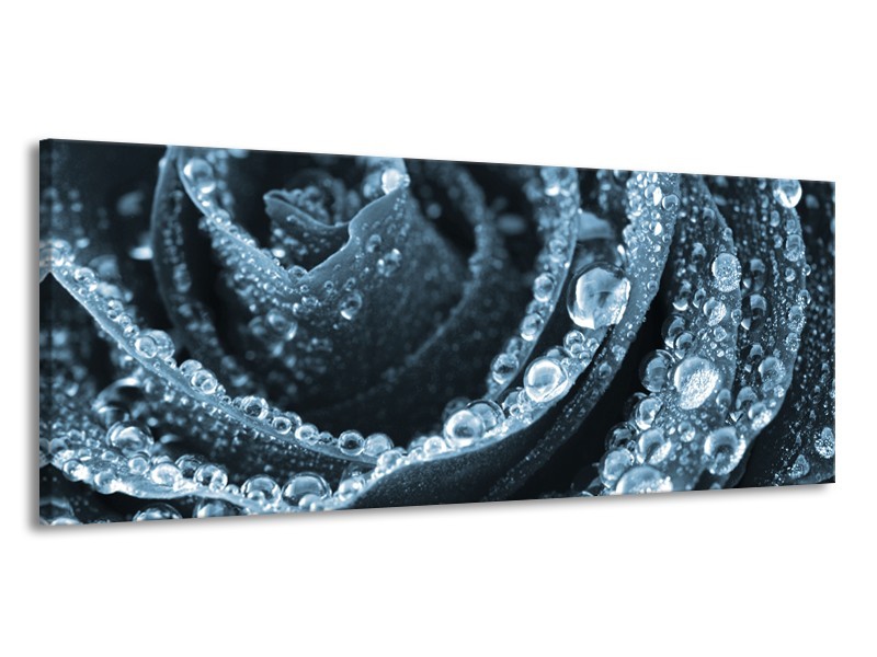 Canvas Schilderij Roos | Blauw | 145x58cm 1Luik
