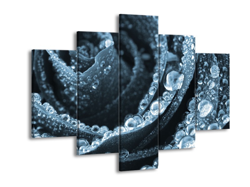 Canvas Schilderij Roos | Blauw | 150x105cm 5Luik