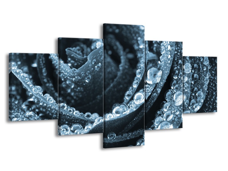 Canvas Schilderij Roos | Blauw | 150x80cm 5Luik