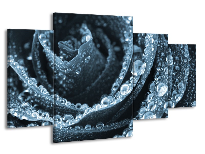 Canvas Schilderij Roos | Blauw | 160x90cm 4Luik