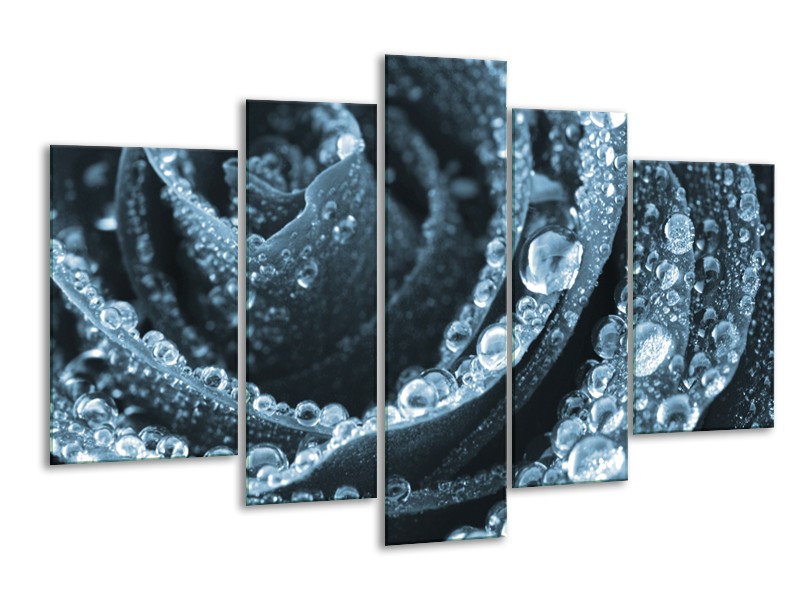 Canvas Schilderij Roos | Blauw | 170x100cm 5Luik