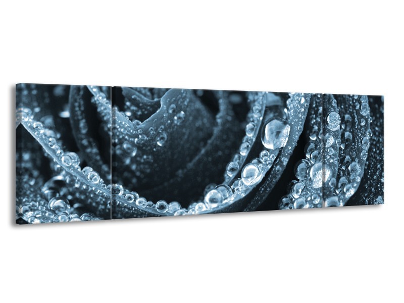 Canvas Schilderij Roos | Blauw | 170x50cm 3Luik