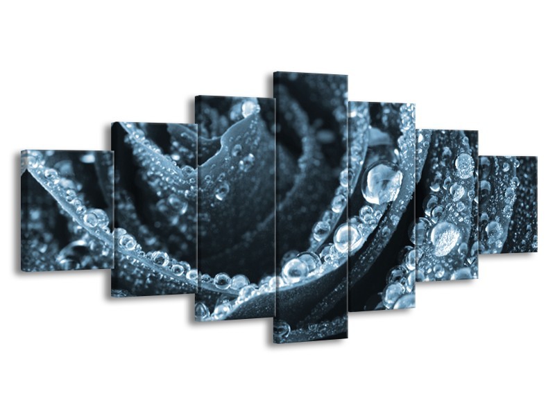 Canvas Schilderij Roos | Blauw | 210x100cm 7Luik