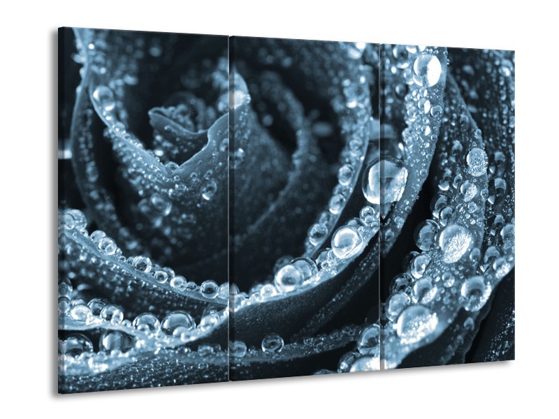 Canvas Schilderij Roos | Blauw | 60x90cm 3Luik