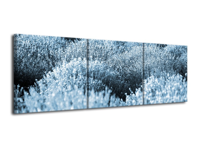 Canvas Schilderij Bloem | Blauw | 120x40cm 3Luik