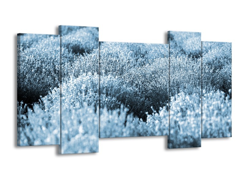 Glasschilderij Bloem | Blauw | 120x65cm 5Luik