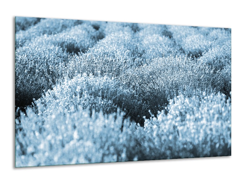 Canvas Schilderij Bloem | Blauw | 120x70cm 1Luik