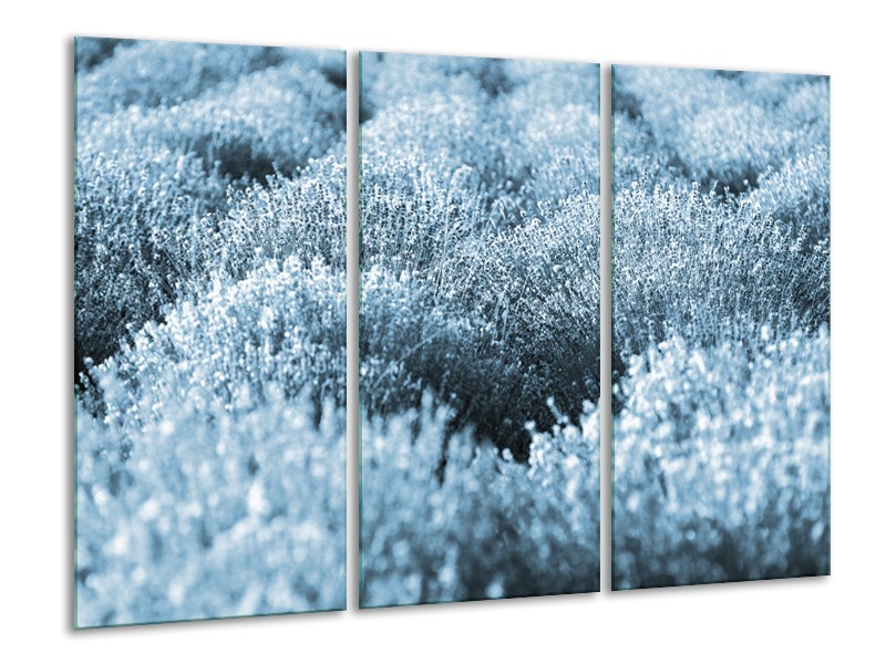 Glasschilderij Bloem | Blauw | 120x80cm 3Luik