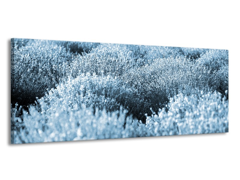 Canvas Schilderij Bloem | Blauw | 145x58cm 1Luik