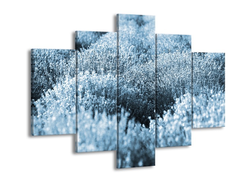 Glasschilderij Bloem | Blauw | 150x105cm 5Luik