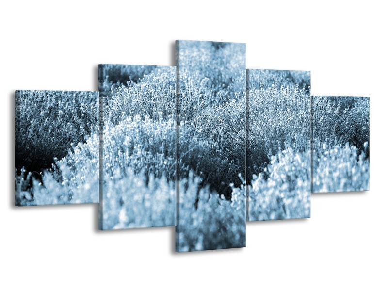 Glasschilderij Bloem | Blauw | 150x80cm 5Luik