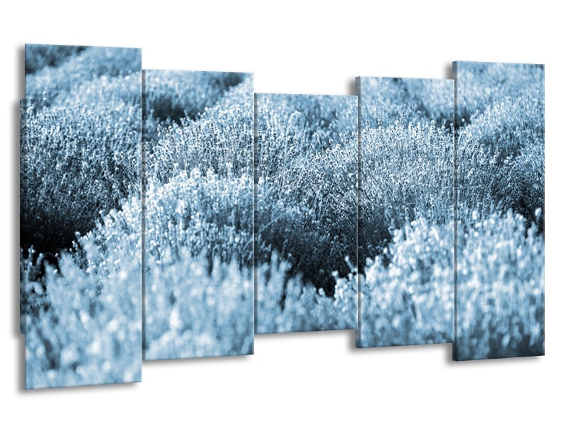 Glasschilderij Bloem | Blauw | 150x80cm 5Luik