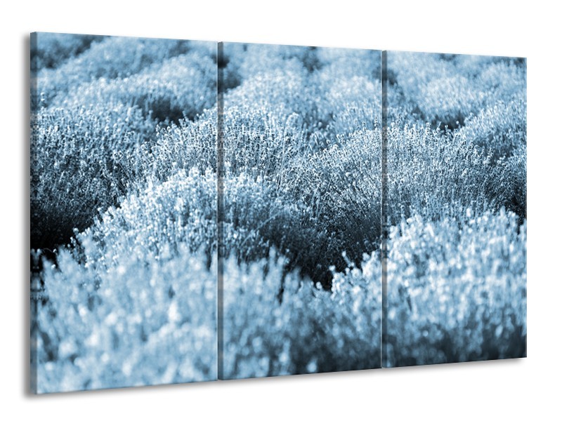 Glasschilderij Bloem | Blauw | 165x100cm 3Luik