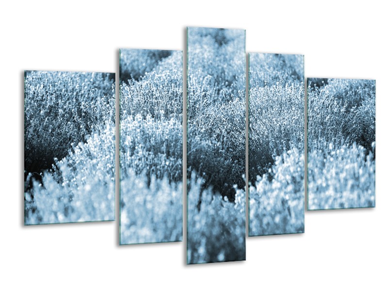 Glasschilderij Bloem | Blauw | 170x100cm 5Luik