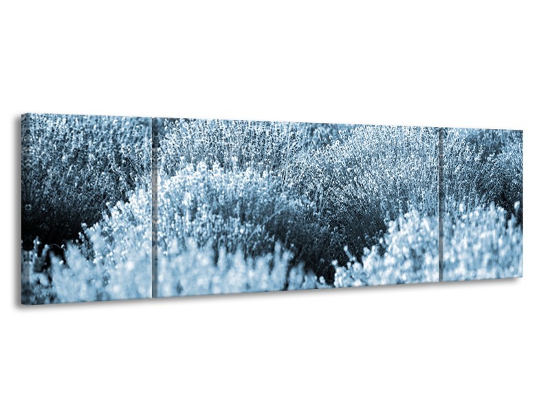 Canvas Schilderij Bloem | Blauw | 170x50cm 3Luik