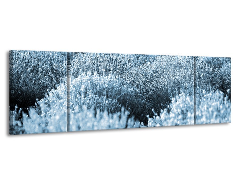 Glasschilderij Bloem | Blauw | 170x50cm 3Luik