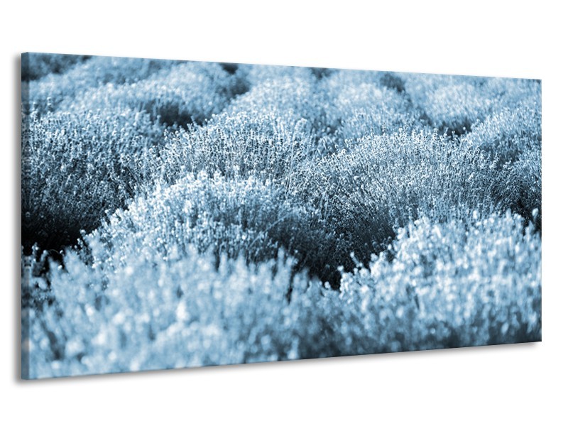 Canvas Schilderij Bloem | Blauw | 170x90cm 1Luik