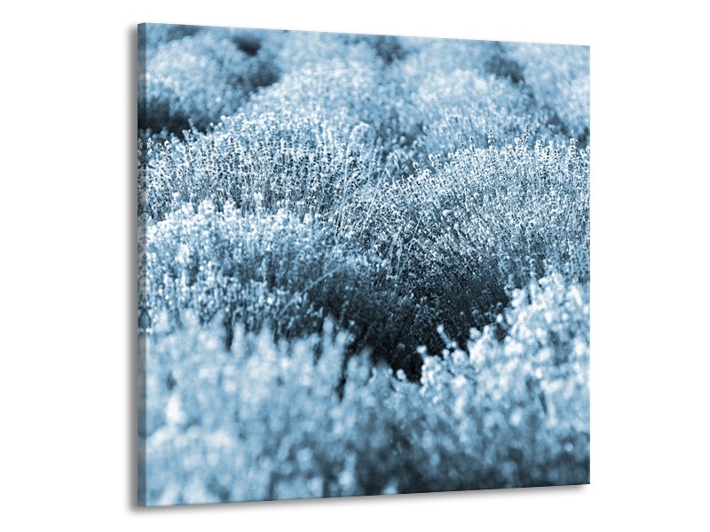 Glasschilderij Bloem | Blauw | 50x50cm 1Luik