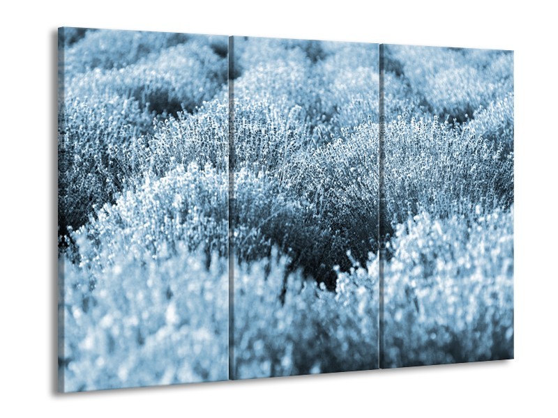 Glasschilderij Bloem | Blauw | 60x90cm 3Luik