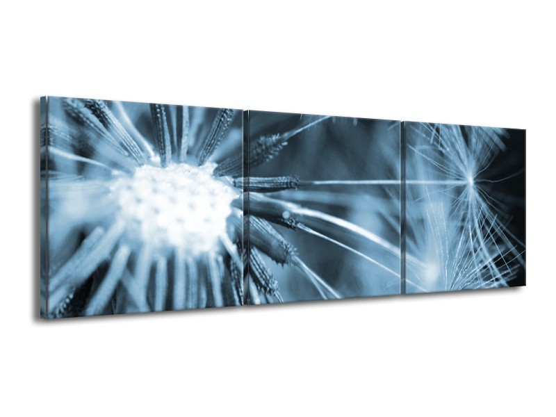 Glasschilderij Bloem | Blauw | 150x50cm 3Luik