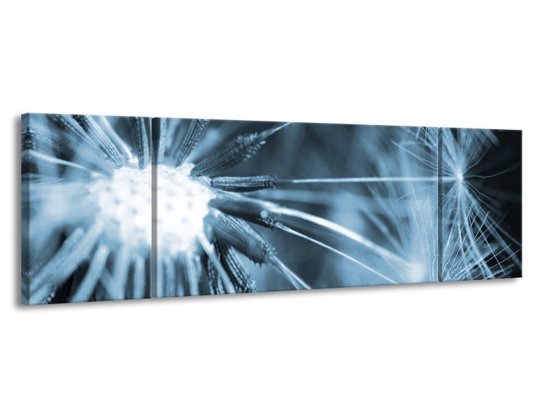 Glasschilderij Bloem | Blauw | 170x50cm 3Luik