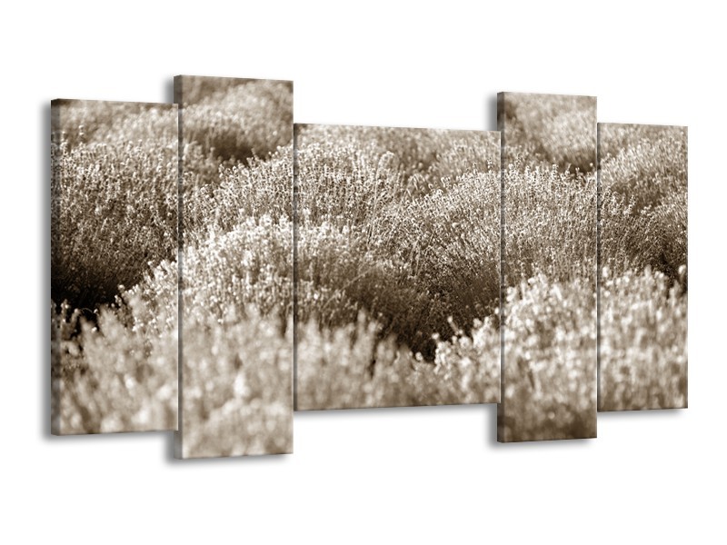 Glasschilderij Bloem | Sepia | 120x65cm 5Luik