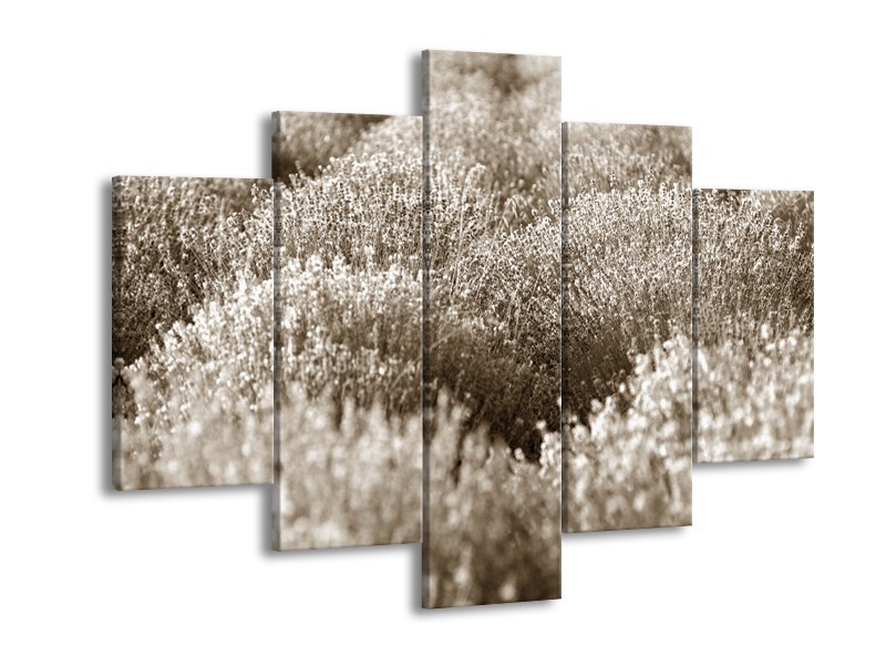 Glasschilderij Bloem | Sepia | 150x105cm 5Luik