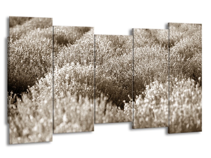 Glasschilderij Bloem | Sepia | 150x80cm 5Luik