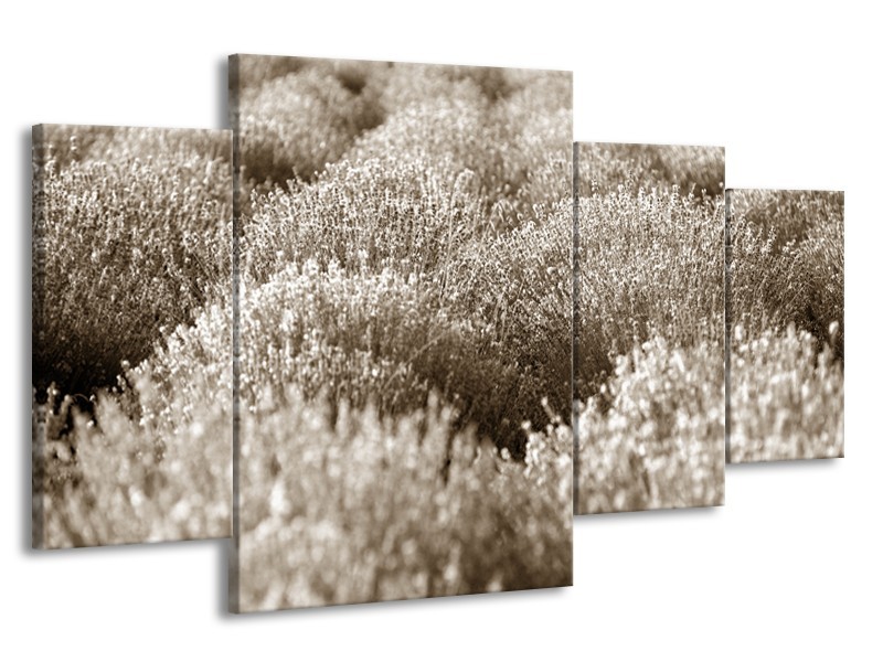 Glasschilderij Bloem | Sepia | 160x90cm 4Luik