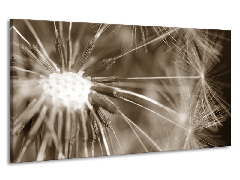 Canvas Schilderij Bloem | Sepia | 190x100cm 1Luik