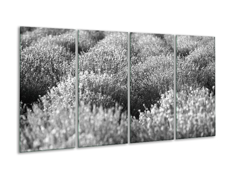 Glasschilderij Bloemen | Grijs, Zwart | 160x80cm 4Luik