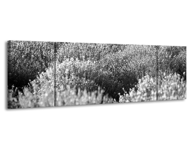 Glasschilderij Bloemen | Grijs, Zwart | 170x50cm 3Luik