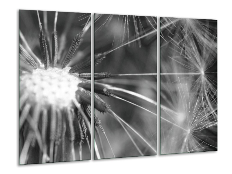 Canvas Schilderij Bloem | Grijs, Zwart | 120x80cm 3Luik