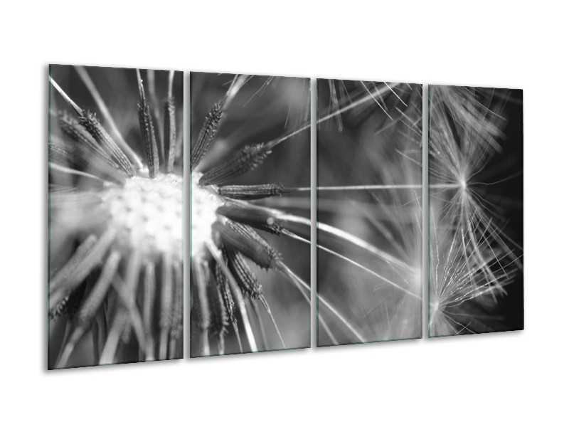 Glasschilderij Bloem | Grijs, Zwart | 160x80cm 4Luik