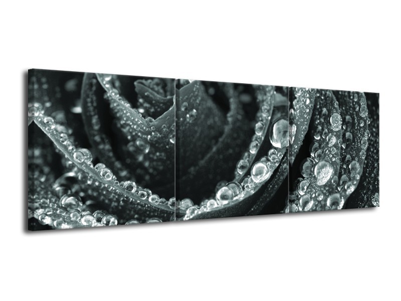 Canvas Schilderij Bloem, Roos | Grijs, Groen | 120x40cm 3Luik
