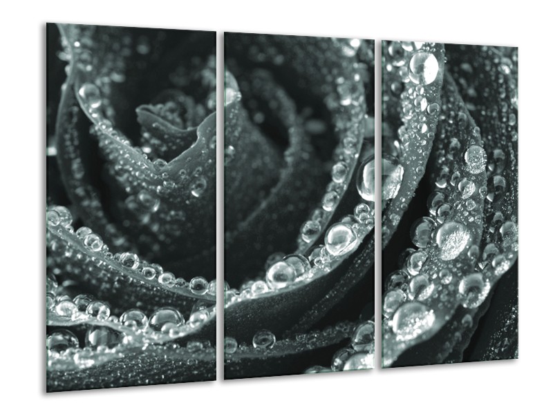Canvas Schilderij Bloem, Roos | Grijs, Groen | 120x80cm 3Luik