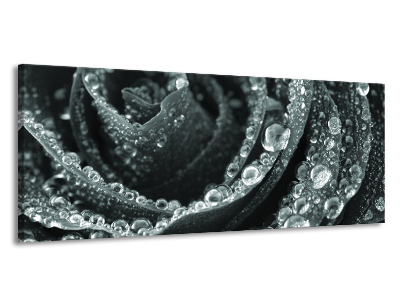 Canvas Schilderij Bloem, Roos | Grijs, Groen | 145x58cm 1Luik